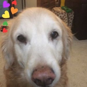 Meet your Posher, Shirley